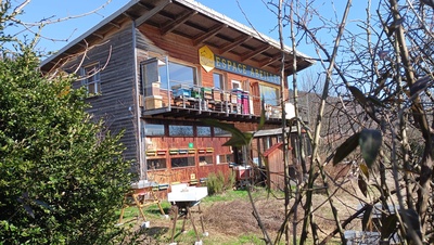 Un regard dans la ruche