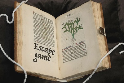 Enigma Botanica: 60 minutes pour trouver la plante qui vous sauvera
