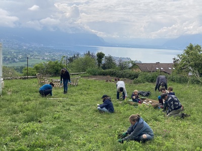 Chantier-nature dans un domaine communautaire