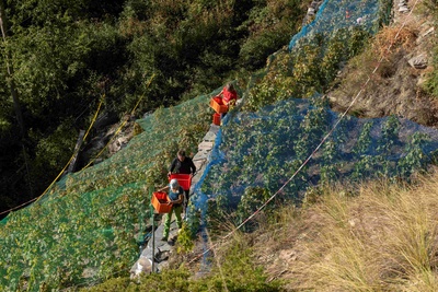 Découvrez un vignoble de grande valeur historique ! Un joyau dans la vallée de Viège