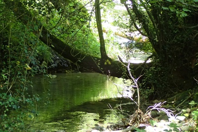 Promenade au fil des baignes, gouilles et marais