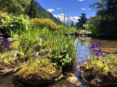 Flore-Alpe au fil de l’eau, journée portes ouvertes au Jardin alpin
