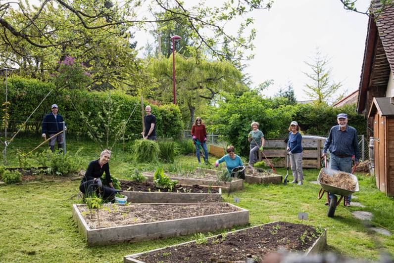 Visite d'un jardin collectif