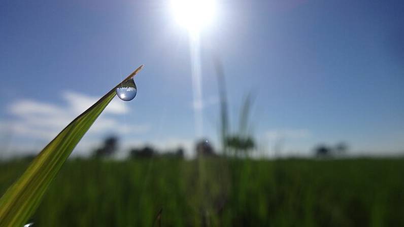 Nature Magique