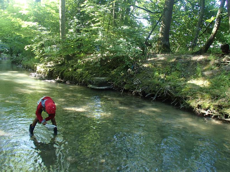 L'eau, source de vie