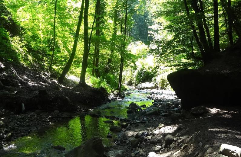 Comment se portent nos rivières?