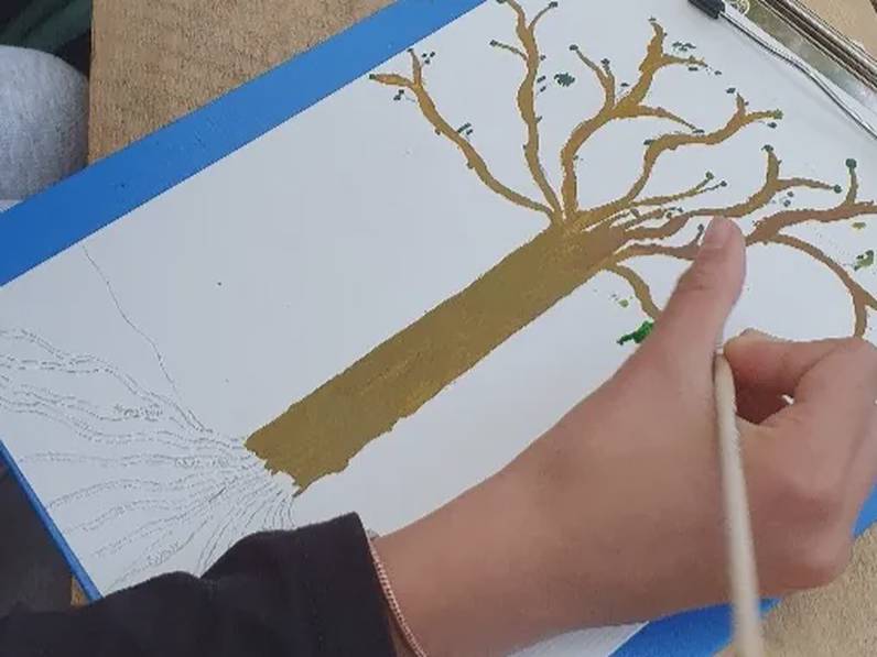 Écoute l’arbre, il a des secrets pour toi !