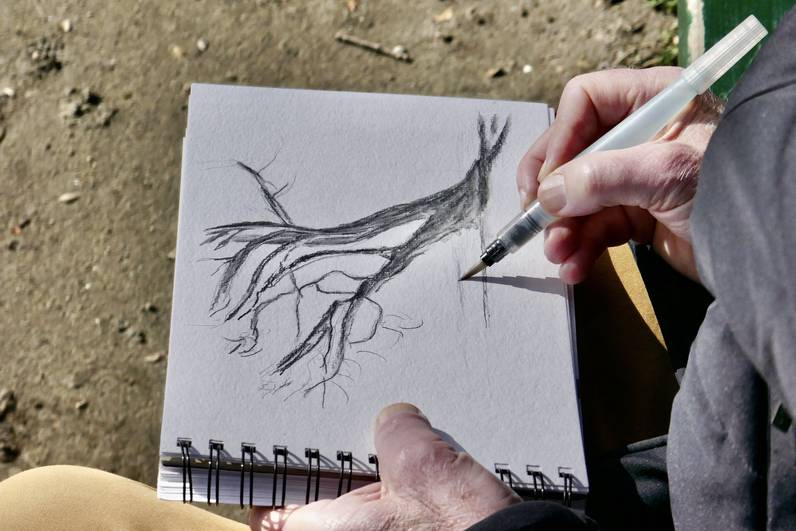 Croquis nature des rives de Rolle
