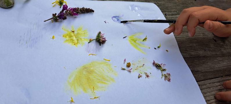 Apprendre sur la forêt et la dessiner