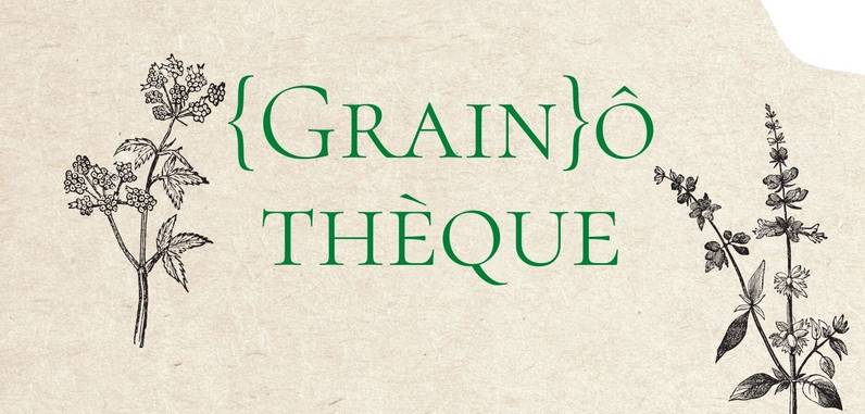 Grainothèque de la biblio d'Épalinges - Troc de graines
