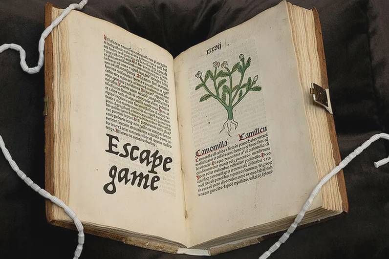 Enigma Botanica: 60 minutes pour trouver la plante qui vous sauvera