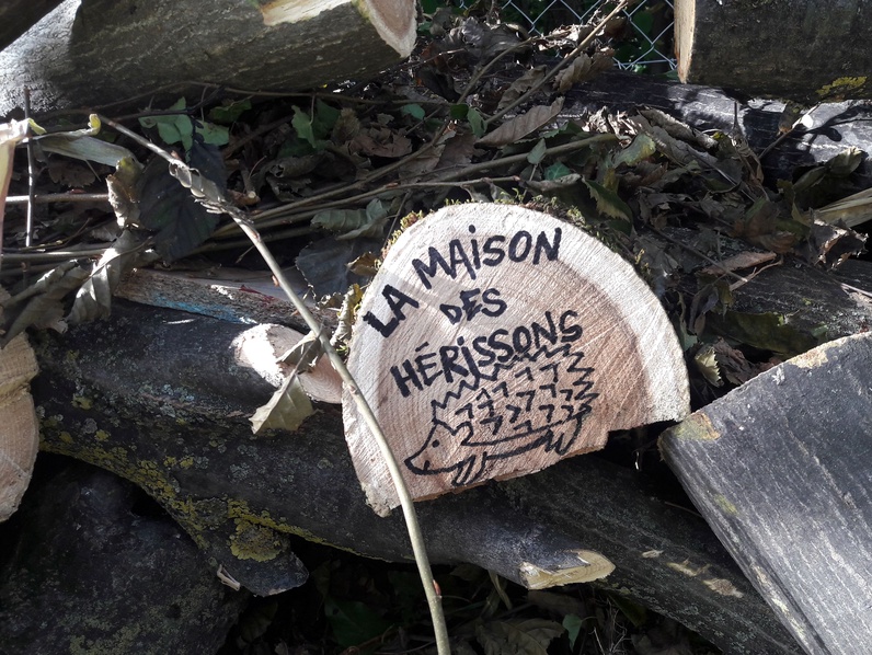 Fabrication d'abris pour hérisson