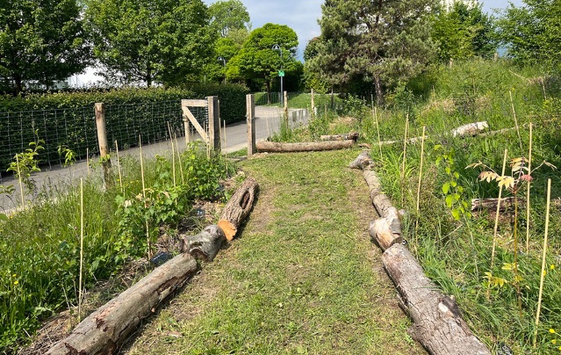 Portes ouvertes du Jardin-Forêt des Morettes