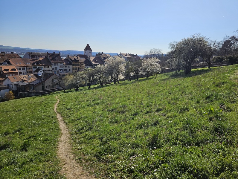 Nature en ville à Grandson : le Coteau derrière les Remparts