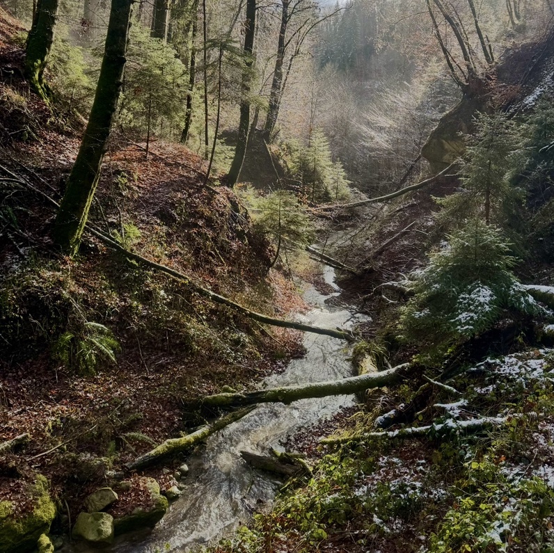 Promenade hors des sentiers battus