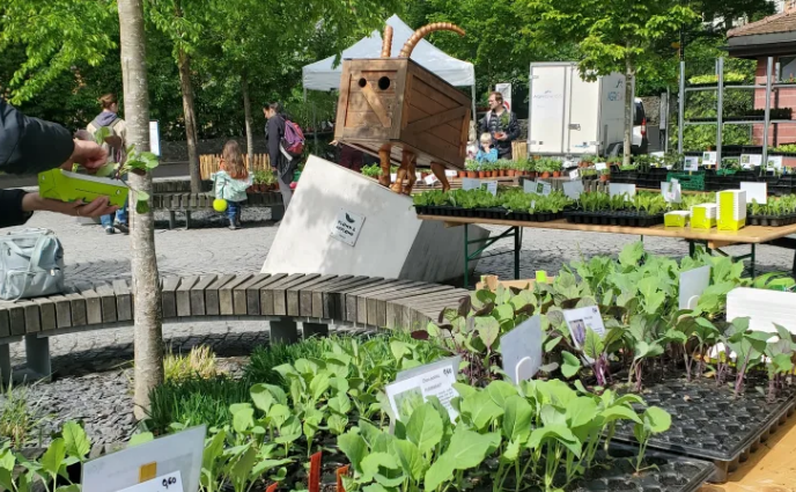 Marché de plantons ProSpecieRara