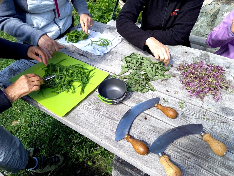 Rando cueillette et dégustation