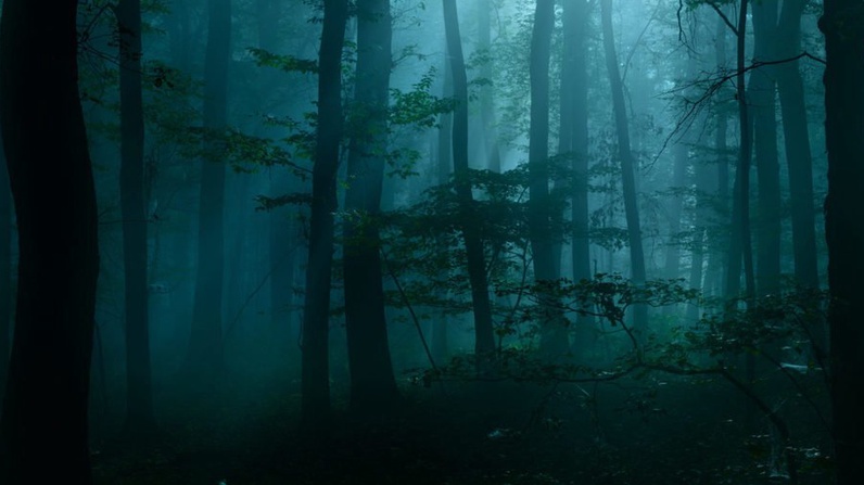 Excursion nocturne à Versoix