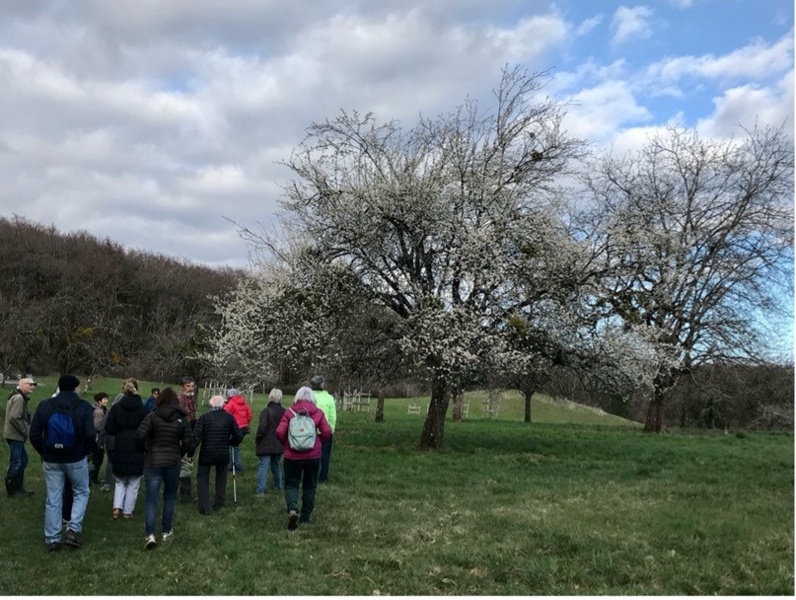 Différentes animations sur le site du Bois de Chênes