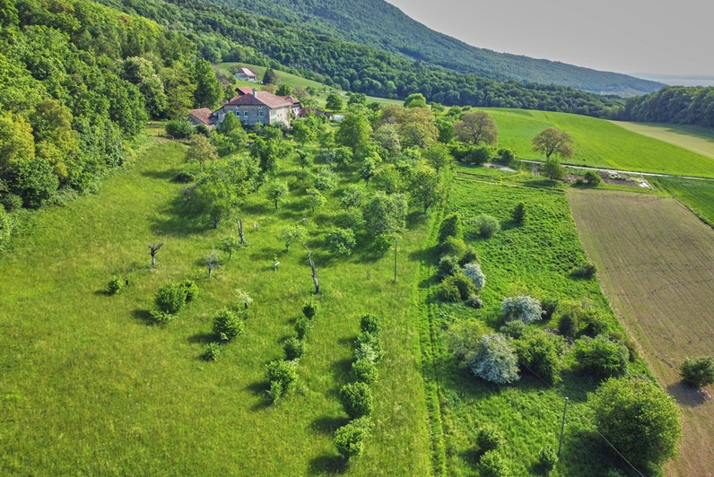 Découverte des milieux naturels du sentier Robert Hainard