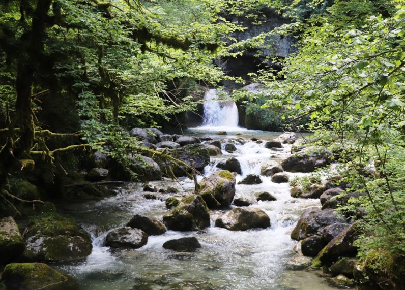 Quête de l'origine de la Beauté dans la Nature
