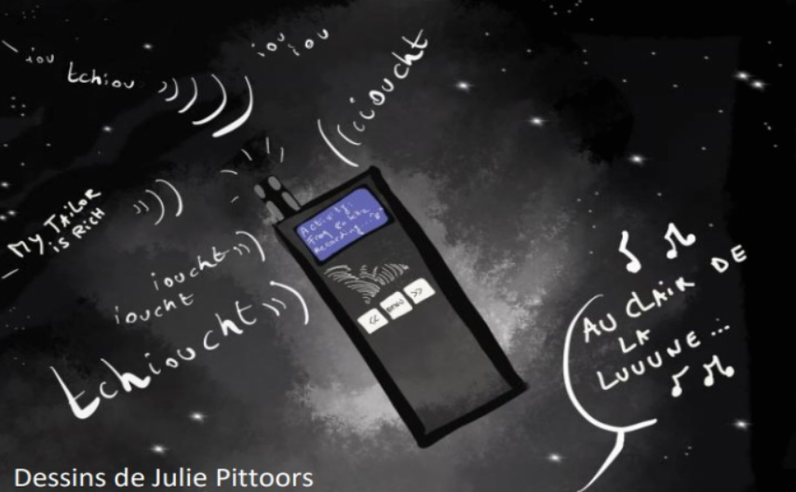 Balade acoustique nocturne à la découverte des chauves-souris