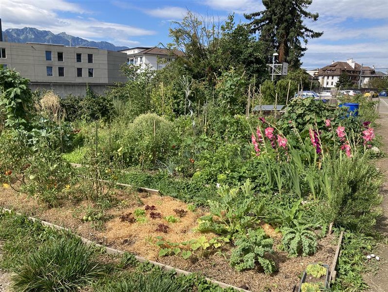 Le jardin cache des trésors... naturels !