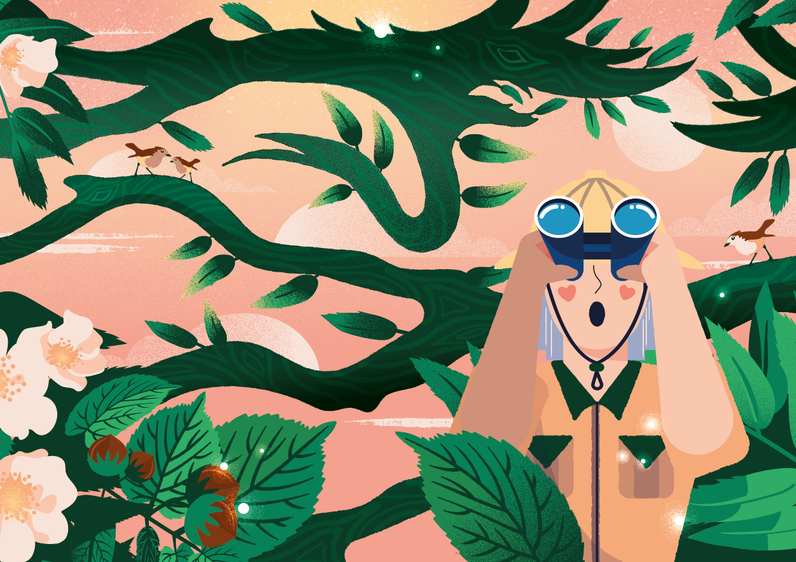 À la recherche de l'arbre-dinosaure!