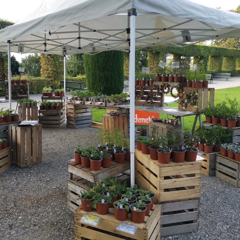 Marché aux plantons et troc de graines