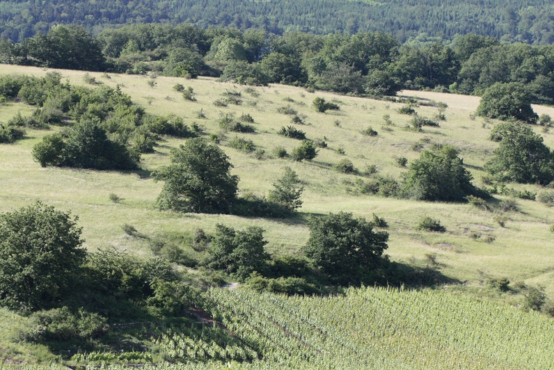 Nature et archéologie par les prés et par les bois