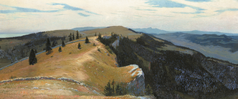 Quand la forêt reprend ses droits (Tête de Ran)