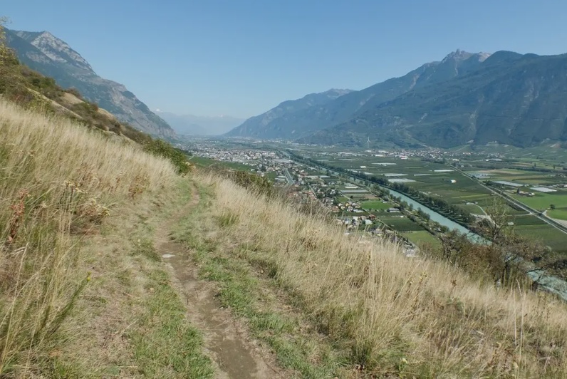Ballade et découverte des trésors naturels des Follatères