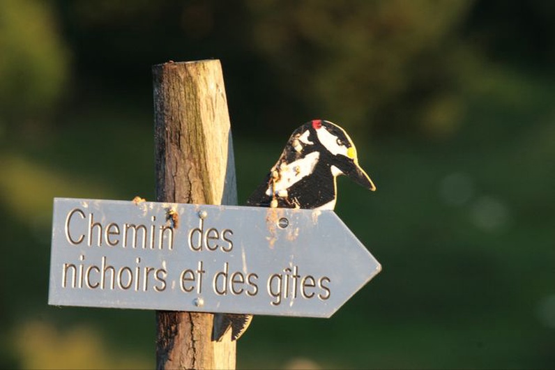 Balade à la découverte du Tschaïbez et de ses habitant.e.s