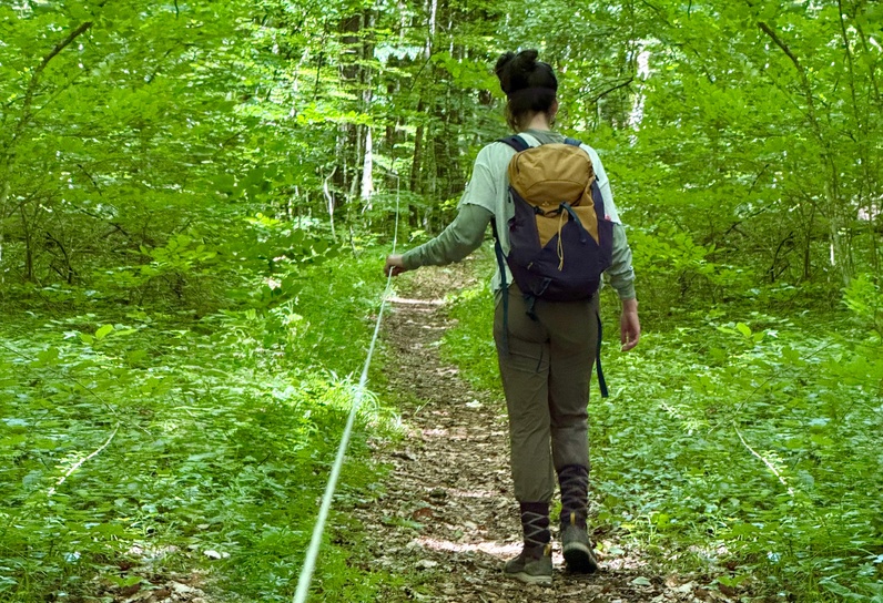 La forêt autrement avec les Rangers