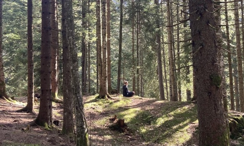 Méditation en pleine nature: intiation au yoga