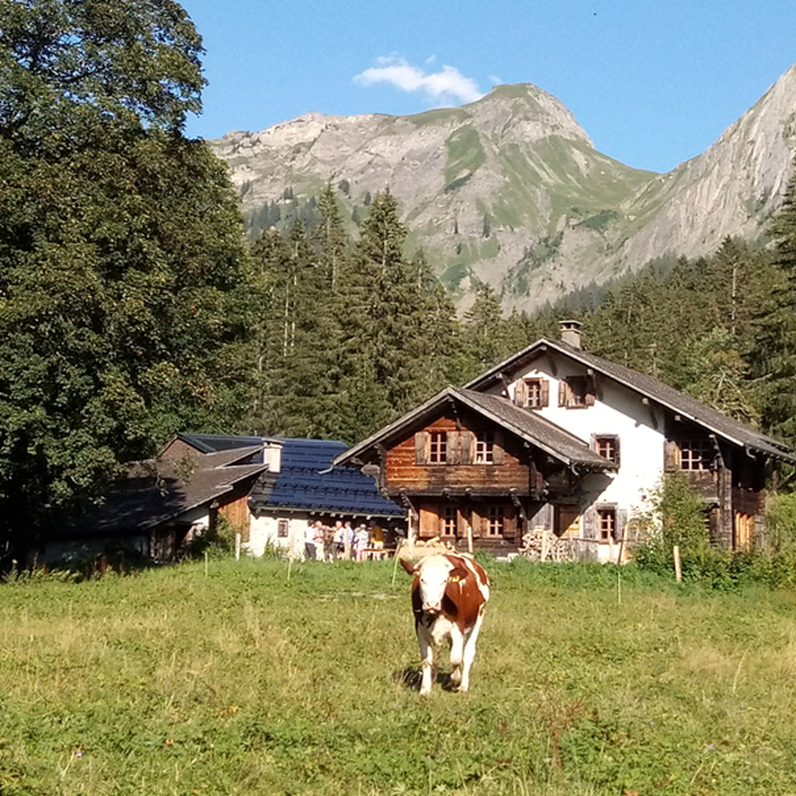 La richesse des arbres habitats dans le pâturage boisé de Cergnement près de la Barboleuse