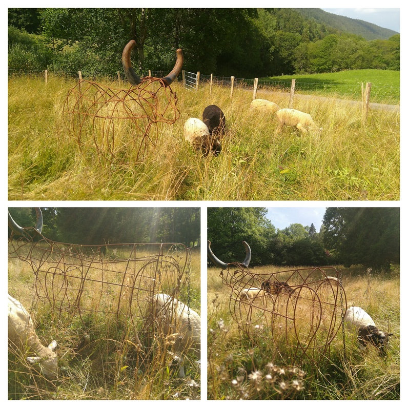 Un oeil, des yeux, mon oeil je crée (Land Art)