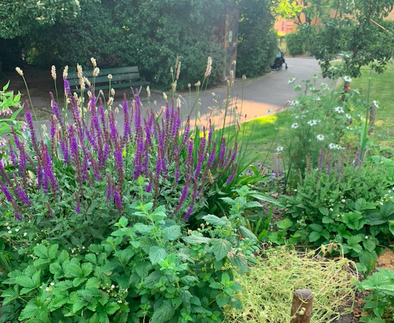 Ouvrir l'oeil en venant dessiner ou peindre dans le quartier Montchoisi