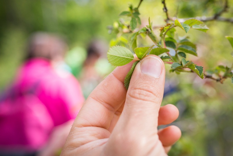 Charte des jardins: visite et échanges autour des bonnes pratiques