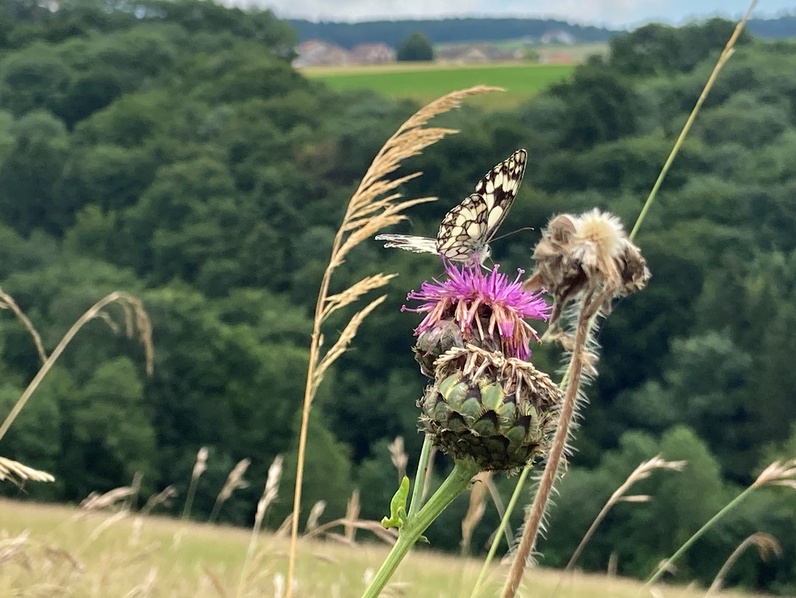 La vie circule à la ferme!