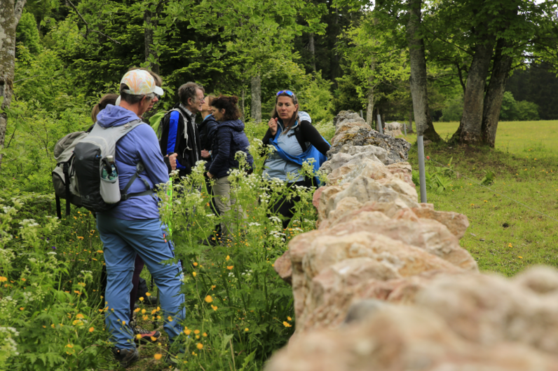 Murs de pierres sèches (La Vue des Alpes)