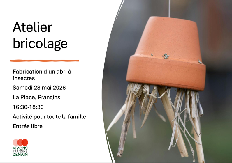 Fabrication d'une maison à insectes