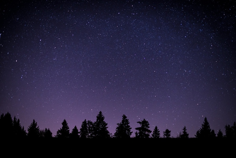Sortie nocturne pour écouter les bruits de la nuit