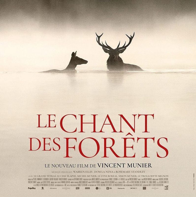 Projection du film "Le Chant des forêts", avec la présence d'Antoine Lavorel
