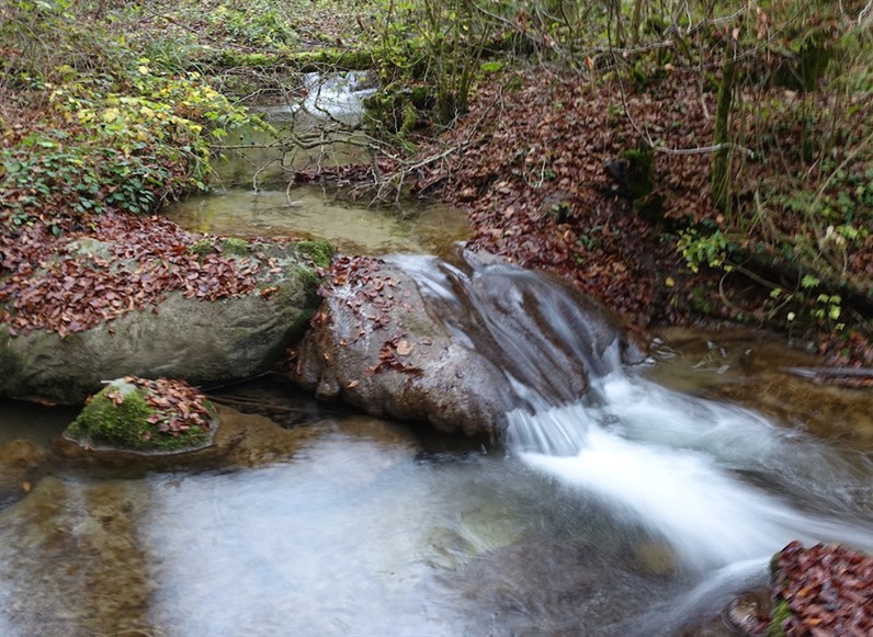 Découverte des lieux énergétiques, telluriques et magiques de nos régions – Géobiologie