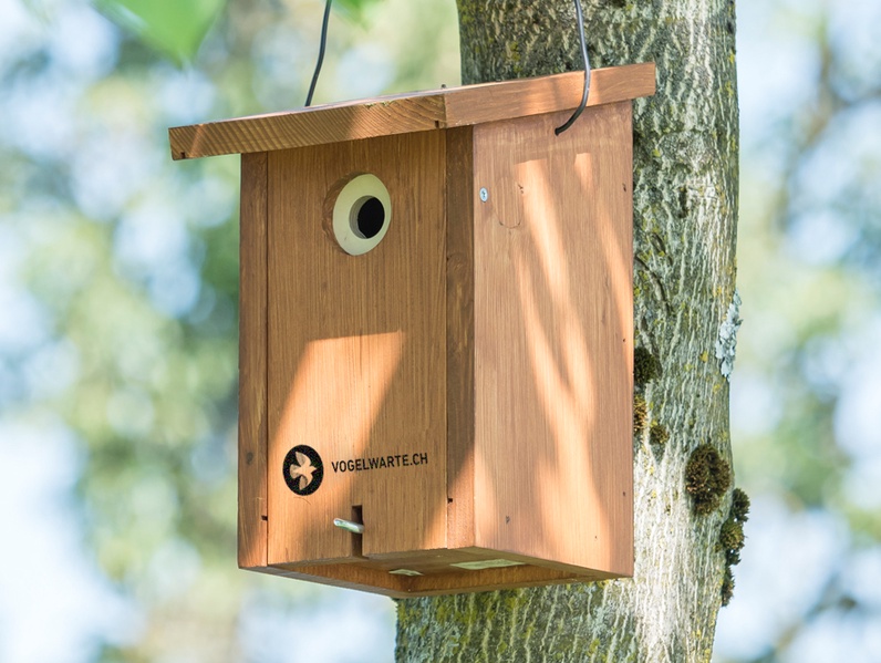 Fabrication de nichoirs à oiseaux