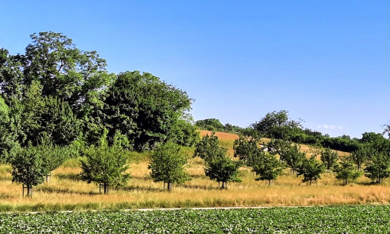 La nature et les paysages de Boncourt
