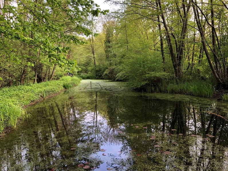 L'étang du Bomelet a 50 ans