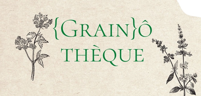 Grainothèque de la biblio d'Épalinges - Troc de graines