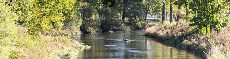 A la découverte du Jardin des mineurs